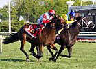 Seven are Pre-Entered in Arlington Million Seven are Pre-Entered in Arlington Million