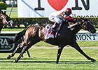 Real Solution Runs Down Manhattan Rivals Real Solution Runs Down Manhattan Rivals