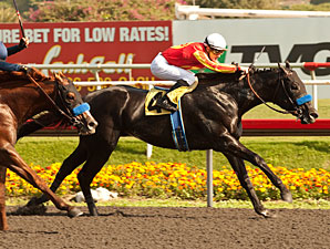 Really Mr Greely Stars in All-Baffert Prevue Really Mr Greely Stars in All-Baffert Prevue