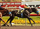 Really Mr Greely Stars in All-Baffert Prevue Really Mr Greely Stars in All-Baffert Prevue