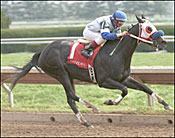 Reason to Talk Earns Doubledogdare Win Reason to Talk Earns Doubledogdare Win