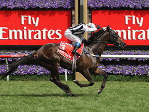 Huge Upset Down Under in VRC Derby Huge Upset Down Under in VRC Derby