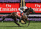 Huge Upset Down Under in VRC Derby Huge Upset Down Under in VRC Derby