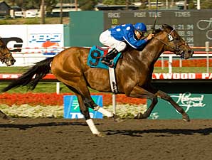 Hot Pace Helps Rebellion in Ack Ack Win Hot Pace Helps Rebellion in Ack Ack Win