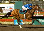 Hot Pace Helps Rebellion in Ack Ack Win Hot Pace Helps Rebellion in Ack Ack Win