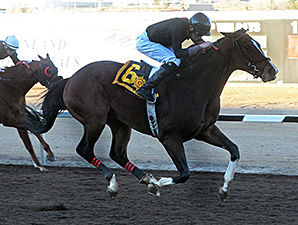 Rebranded Strikes in Riley Allison Futurity Rebranded Strikes in Riley Allison Futurity