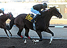 Rebranded Strikes in Riley Allison Futurity Rebranded Strikes in Riley Allison Futurity