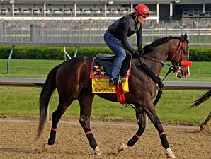 Recapturetheglory Back in Action Recapturetheglory Back in Action