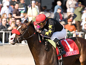 Recapturetheglory Heads Tough WV Derby Recapturetheglory Heads Tough WV Derby