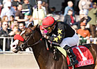Recapturetheglory Heads Tough WV Derby Recapturetheglory Heads Tough WV Derby