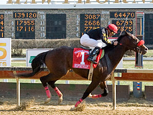 Ky. Derby Trail: Louie Calls an Audible Ky. Derby Trail: Louie Calls an Audible
