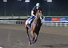 Singapore - Red Cadeaux & Robin Trevor-Jones Singapore - Red Cadeaux & Robin Trevor-Jones