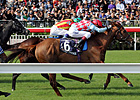 Red Cadeaux Captures Tight Hong Kong Vase Red Cadeaux Captures Tight Hong Kong Vase