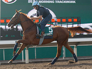 Hong Kong Races Heavy on Subplots Hong Kong Races Heavy on Subplots