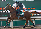 Hong Kong Races Heavy on Subplots Hong Kong Races Heavy on Subplots