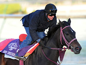 Red Desire: 'She's a Different Horse Now' Red Desire: 'She's a Different Horse Now'