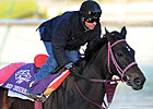 Red Desire: 'She's a Different Horse Now' Red Desire: 'She's a Different Horse Now'
