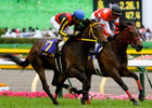 Buena Vista Loses in Japan's Filly Crown Bid Buena Vista Loses in Japan's Filly Crown Bid