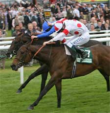 Red Evie Tough as Nails in Lockinge Red Evie Tough as Nails in Lockinge