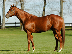 Red Giant to Three Chimneys for 2010 Red Giant to Three Chimneys for 2010