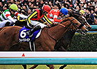 Red Reveur Upsets Hanshin Juvenile Fillies Red Reveur Upsets Hanshin Juvenile Fillies