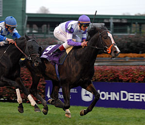 Major Hong Kong Races Shaping Up Major Hong Kong Races Shaping Up