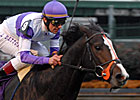 Major Hong Kong Races Shaping Up Major Hong Kong Races Shaping Up