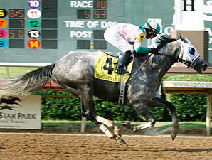 Well-Matched Field in Hawthorne Gold Cup Well-Matched Field in Hawthorne Gold Cup