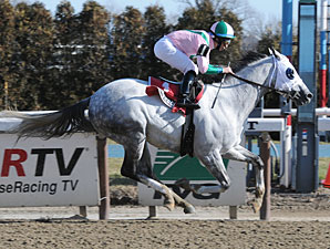 Returning Redding Colliery Wins at Aqueduct Returning Redding Colliery Wins at Aqueduct