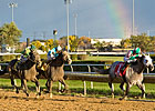 Game Redding Colliery Wins Hawthorne Gold Cup Game Redding Colliery Wins Hawthorne Gold Cup