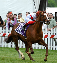 Redwood Kitten, Zee Bros Win on Pimlico Card Redwood Kitten, Zee Bros Win on Pimlico Card