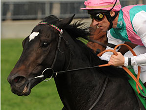 Redwood Stands Tall With Northern Dancer Win Redwood Stands Tall With Northern Dancer Win