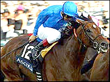 Refuse To Bend Determined in Coral-Eclipse Refuse To Bend Determined in Coral-Eclipse