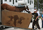 Steve Haskin's Derby Dozen - 04/21/09