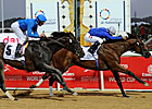 Regal Ransom Pulls UAE Derby Upset Regal Ransom Pulls UAE Derby Upset