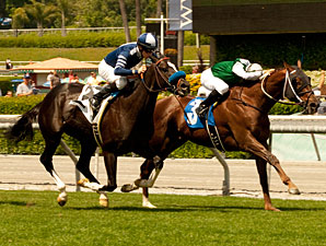 Regally Ready Hangs On for San Simeon Win Regally Ready Hangs On for San Simeon Win