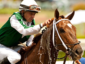 Regally Ready Clears Quarantine, Tours Meydan Regally Ready Clears Quarantine, Tours Meydan