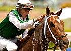 Regally Ready Clears Quarantine, Tours Meydan Regally Ready Clears Quarantine, Tours Meydan