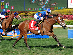 Dozen Distance Specialists Battle in Bewitch Dozen Distance Specialists Battle in Bewitch