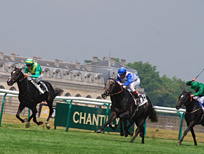 Reliable Man Decisive Winner of French Derby Reliable Man Decisive Winner of French Derby