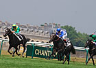Reliable Man Decisive Winner of French Derby Reliable Man Decisive Winner of French Derby