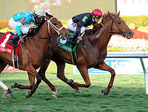 Reload Fires Off Canadian Turf Win Reload Fires Off Canadian Turf Win