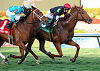 Reload Fires Off Canadian Turf Win Reload Fires Off Canadian Turf Win