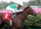 Remarkable News Likely to Retire, Says Owner Remarkable News Likely to Retire, Says Owner