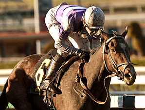 Titanic Upset in Santa Ynez Stakes Titanic Upset in Santa Ynez Stakes
