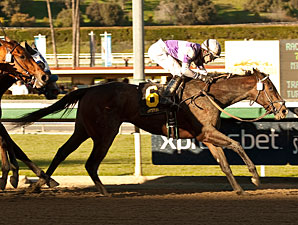 Renee's Titan Takes Aim at Beaumont Stakes Renee's Titan Takes Aim at Beaumont Stakes