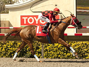 Reneesgotzip Zaps Track Record at Del Mar Reneesgotzip Zaps Track Record at Del Mar