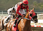 Could Be Reneesgotzip's Year in Turf Sprint Could Be Reneesgotzip's Year in Turf Sprint
