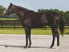 Repent Gets First Winner in Monmouth Maiden Test Repent Gets First Winner in Monmouth Maiden Test