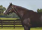 Repent Gets First Winner in Monmouth Maiden Test Repent Gets First Winner in Monmouth Maiden Test